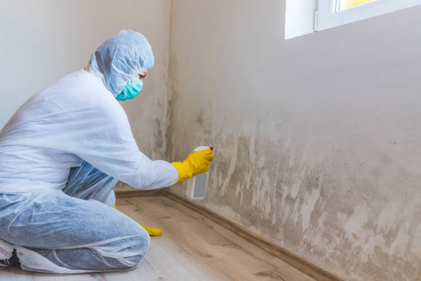Bathroom Mold Removal assessment in Selma bathroom